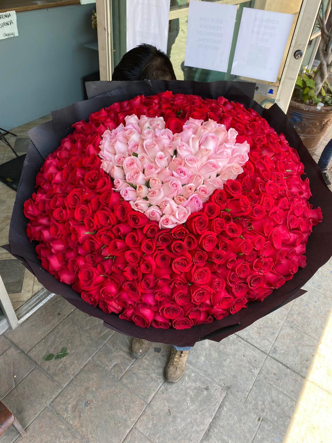 Ramo Buchón con 400 Rosas de Invernadero || Arreglo Gigante con 400 Rosas Premium